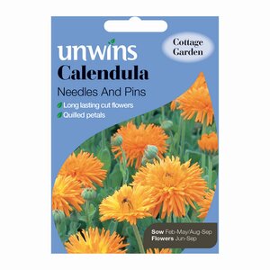 Calendula Needles And Pins