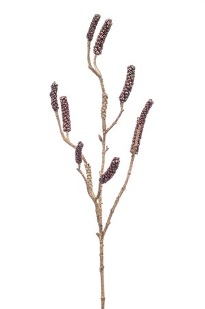 Callistemon branch 85cm burgundy