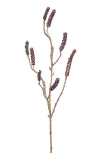 Callistemon branch 85cm burgundy