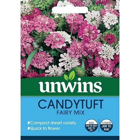 Candytuft Dwarf Fairy Mix