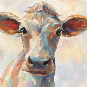 Canvas Oil Cow 80x80cm