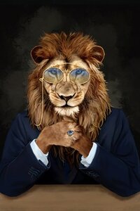 Canvas Oil Dapper Lion 60x90cm