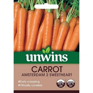 Carrot Amsterdam 2 Sweetheart