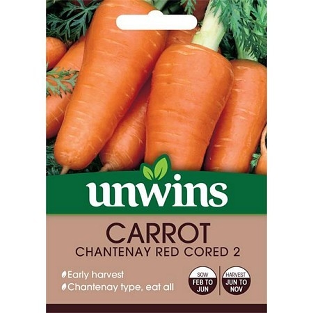 Carrot Chantenay Red Cored 2