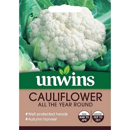Cauliflower All The Year Round