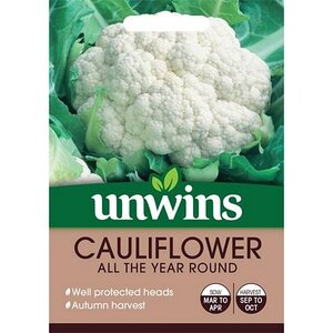 Cauliflower All The Year Round
