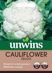 Cauliflower Igloo