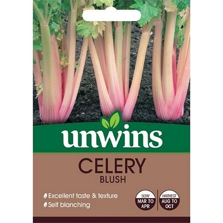 Celery Blush