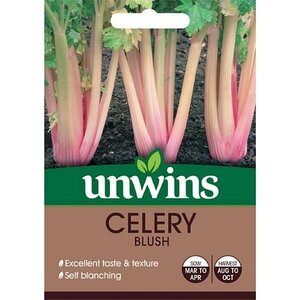 Celery Blush