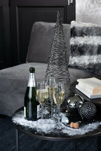 CHAMPAGNE GLASS TR/SILVER (7x7x25cm) - image 2