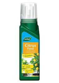 Citrus Feed Concentrate