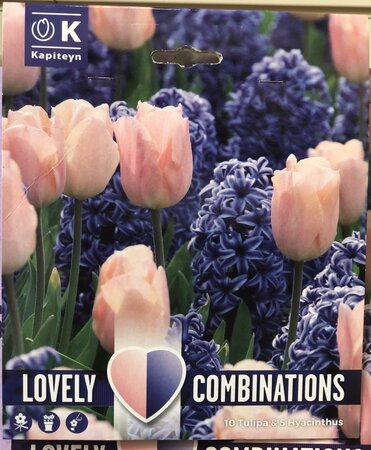 COMBI HYACINTHUS BLUE & TULIPA PINK x15