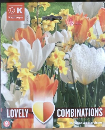 COMBI TULIPA ORANGE/WHITE & NARCISSUS YELLOW x24
