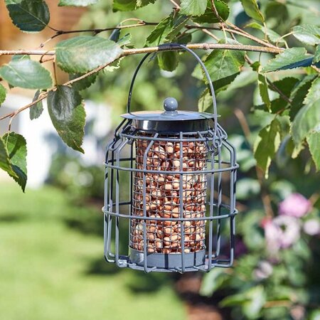 Compact Peanut Feeder POS 16