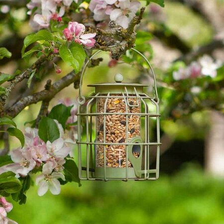 Compact Seed Feeder POS 16