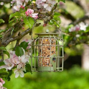 Compact Seed Feeder POS 16