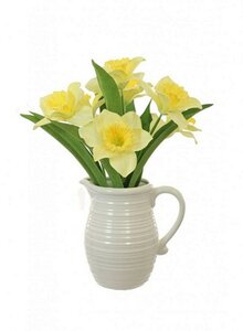 Complete daffodil in jug yellow