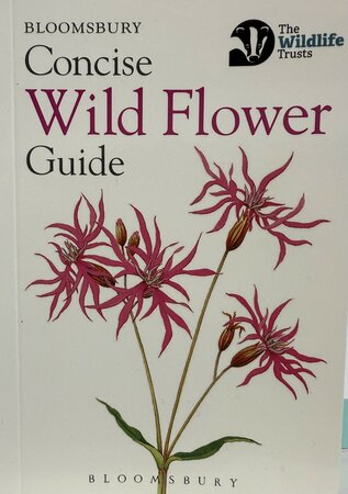 Concise wild Flower Guide - image 1