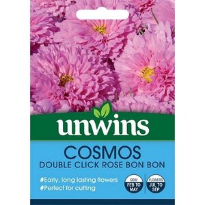 Cosmos Double Click Rose Bon Bon