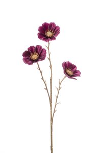 Cosmos spray x3 purple/gold 62cm