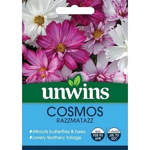 Cosmos Tip Top Picotee