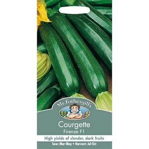 Courgette Firenze F1