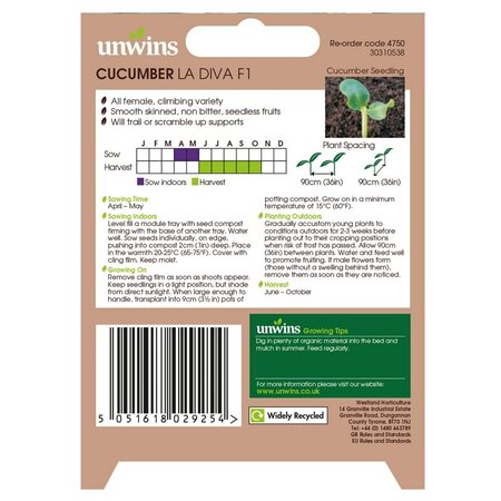 Cucumber (Mini) La Diva F1 - image 2