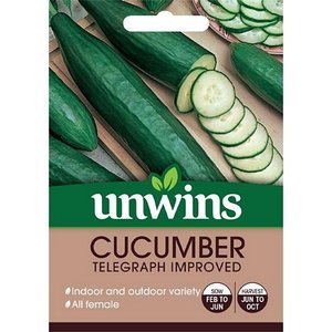 Cucumber Telegraph Improved