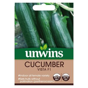 Cucumber Vista F1
