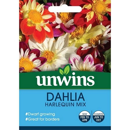 Dahlia Harlequin Mix