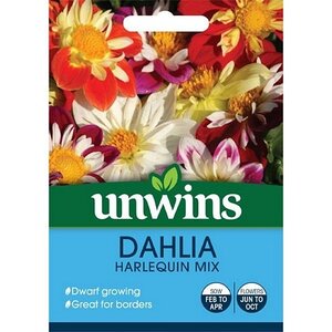 Dahlia Harlequin Mix