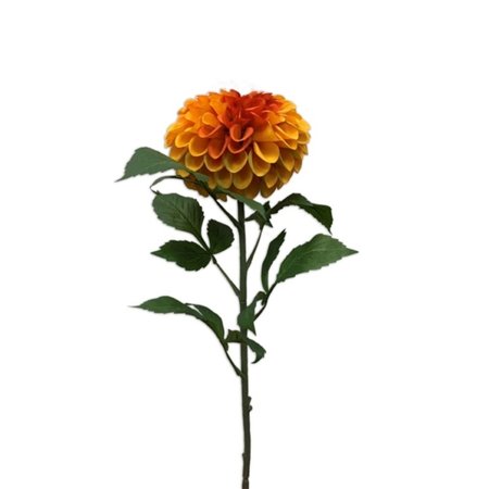 Dahlia pompon spray orange 74cm