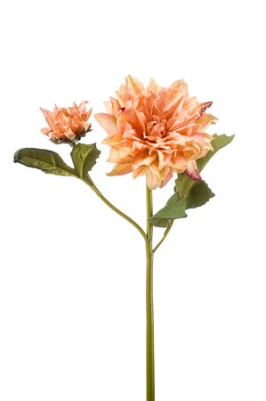 Dahlia spray x2 dry look peach 52cm