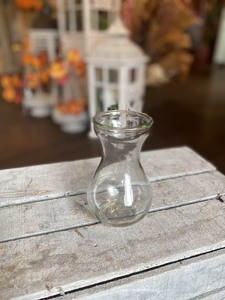 Dainty Glass Vase