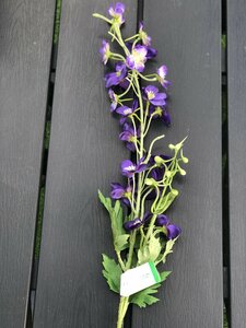 Delphinium Spray Dark Purple