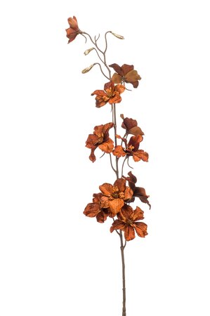 Delphinium spray glamour brown 87cm