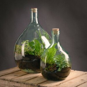 DIY Set Terrarium bottle 15 litre