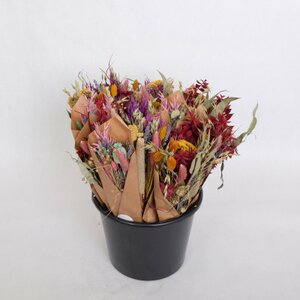 Dried flowers bouqet small mix