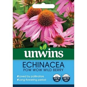 Echinacea Pow Wow Wild Berry