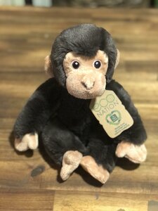 Eco Nation Chimpanzee