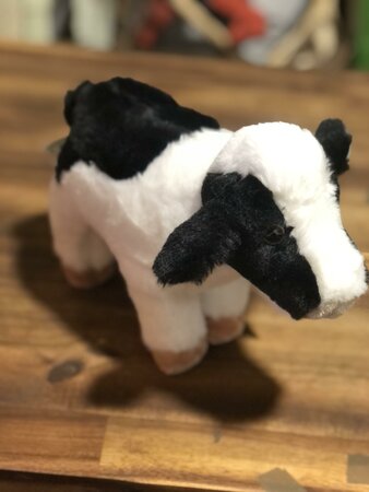 Eco Nation Cow