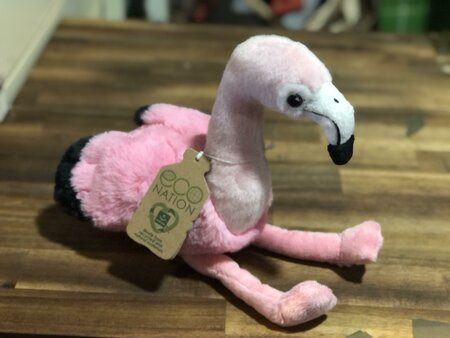 Eco Nation Flamingo