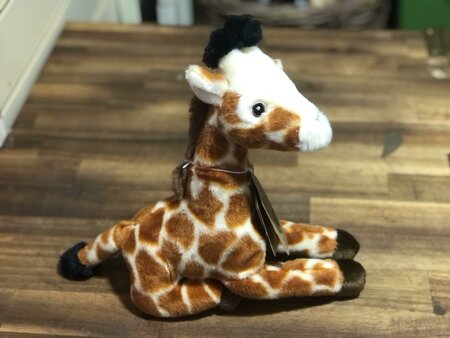 Eco Nation Giraffe