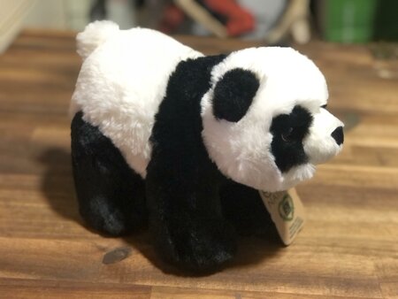 Eco Nation Panda