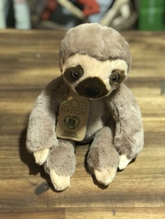 Eco Nation Sloth