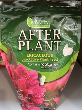 Empathy After Plant Ericaceous