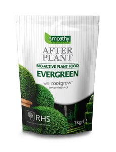 Empathy After Plant Food Evergreen