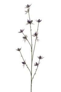 Eryngo spray 75cm blue