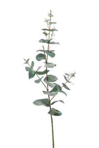 Eucalyptus spray 68cm green/grey