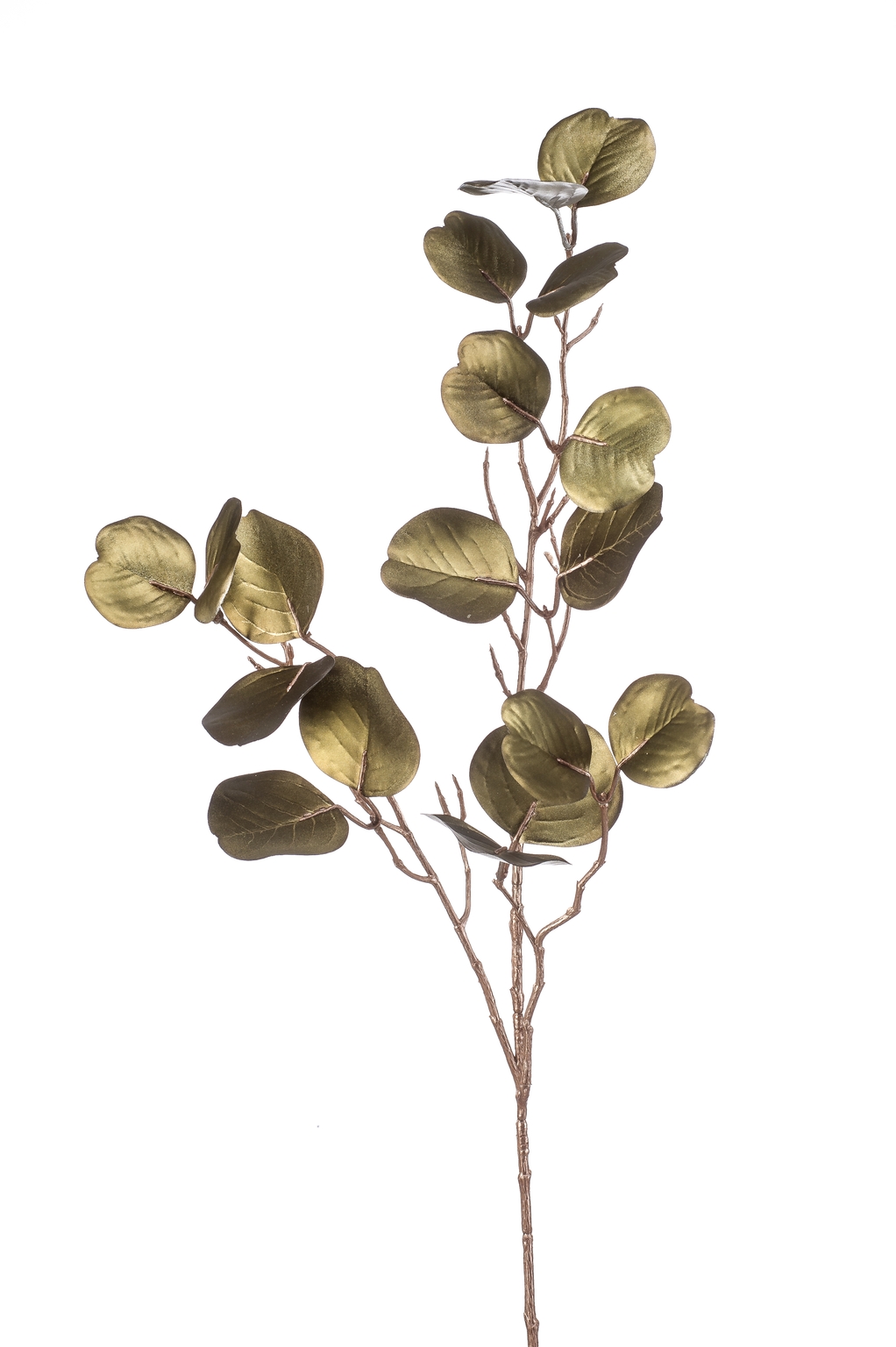 Eucalyptus spray metallic green D and M Garden Centre